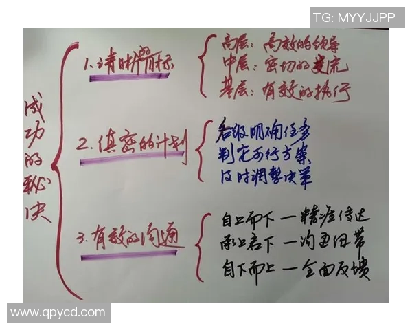 杨强专访揭秘排球成功背后的秘诀与团队精神