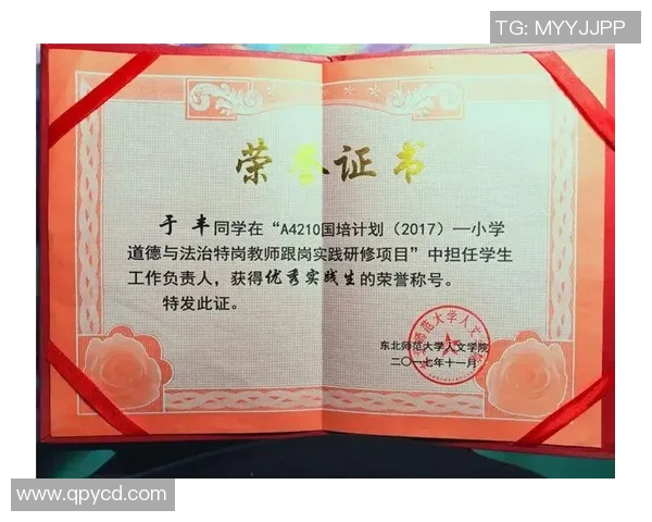 南京排球队逆袭之路欧锦赛背后的奋斗与荣耀